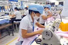 Giãn điều kiện cho doanh nghiệp bị ảnh hưởng bởi dịch được tạm dừng đóng quỹ hưu trí