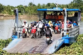 Cần Thơ tạm dừng hoạt động toàn bộ bến khách qua sông Hậu