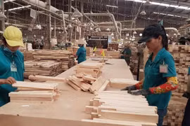 Ngành gỗ: Viết tiếp câu chuyện tăng trưởng