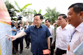 Hội đồng Bầu cử quốc gia có nhiệm vụ, quyền hạn gì?