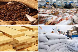 Xuất khẩu nông, lâm, thủy sản 8 tháng đầu năm tăng 21,6% so với cùng kỳ