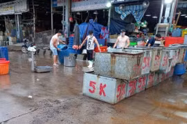 Mở lại hoạt động tập kết và trung chuyển tại chợ lớn nhất TP. Hồ Chí Minh