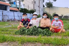 Nhóm sinh viên 9X khai hoang 2000m2 đất trống, trồng rau đem tặng người dân