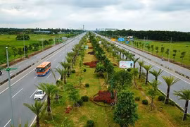 Trồng thêm hơn 10.000 cây xanh dọc các tuyến quốc lộ