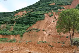 Bão số 8 suy yếu, cảnh báo mưa lớn, lũ quét và sạt lở đất ở miền Trung