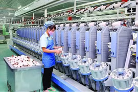 Dệt may thành công (TCM): Lãi quý 2 giảm 27%, dòng tiền kinh doanh âm