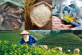 Chuyện “lạ” của ngành Công Thương: Hàng sản xuất được thì nhập khẩu, hàng đang thiếu lại xuất khẩu