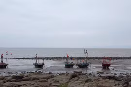 Tổ chức tuyến phố đi bộ tại bờ biển Đồ Sơn