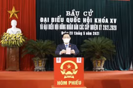 Hải Phòng có tỷ lệ cử tri tham gia bỏ phiếu bầu cử đạt 99,78%