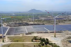 Phú Yên chuyển hơn 11ha đất rừng sang làm dự án điện gió