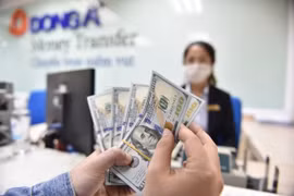 Kiều hối về TP HCM đạt mức kỷ lục 6,1 tỷ USD trong năm 2020