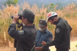 Công ty TNHH Một thành viên Lâm nghiệp Ia H’Drai: Công tác bảo vệ rừng được đặt lên hàng đầu