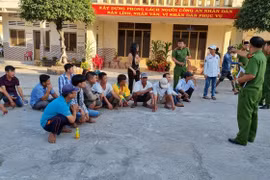 Triệt phá trường gà khủng, thu giữ hàng trăm triệu đồng