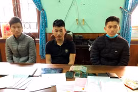 Triệt phá đường dây làm giả giấy tờ xe máy, giấy chứng nhận sử dụng đất