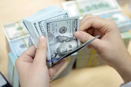 Các ngân hàng không được thu phí giao dịch ngoại tệ từ 17/5