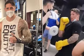 Cựu tiền đạo Fernando Torres khoe cơ bắp khủng, gia nhập làng boxing