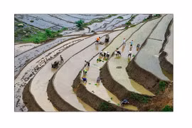 Vẻ đẹp ruộng bậc thang Tây Bắc mùa nước đổ