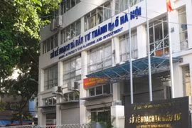 Sở Kế hoạch và Đầu tư được bố trí 1 đến 3 phó giám đốc