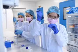 Hỗ trợ tối đa nghiên cứu phát triển vaccine phòng COVID-19