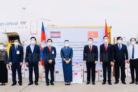 Quan tâm đến công tác đối ngoại với lãnh sự và công dân các nước đang "mắc kẹt" vì Covid-19