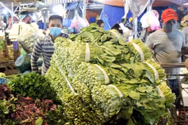 Lập gấp 'vùng xanh', tiêu thụ 1,1 triệu tấn rau quả