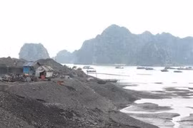 Triệt phá đường dây khai thác than lậu, thu giữ khoảng 100 nghìn tấn than