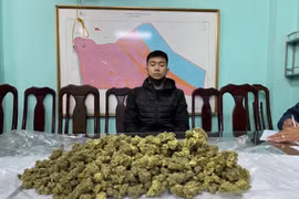 Triệt phá đường dây vận chuyển ma túy cần sa