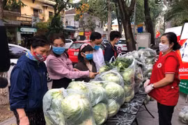 Hà Nội chung tay “giải cứu” nông sản cho nông dân Hải Dương