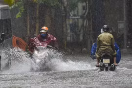 Tuần tới, Biển Đông có khả năng xuất hiện bão
