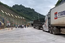 Doanh nghiệp Việt tiết kiệm được 3,2 tỷ USD/năm vì hải quan giao dịch nhanh