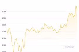 Giá Bitcoin hôm nay 23/9: Thị trường dần hồi phục