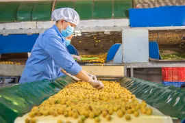 Bộ KH&ĐT: Áp dụng 4 nhóm giải pháp, hỗ trợ doanh nghiệp vượt dịch Covid-19