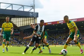 Nhận định trận Newcastle vs Norwich, 02h30 ngày 1/12