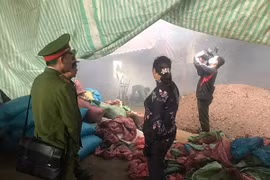 "Đầu độc" môi trường, chủ cơ sở sản xuất nông sản bị phạt 52 triệu đồng