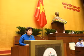 Bổ sung giải pháp thích ứng với dịch bệnh COVID-19 trong hỗ trợ sinh kế, phát triển mô hình giảm nghèo