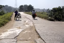 Thanh Hoá: Nhiều vết nứt nham nhở dọc tuyến đê hữu sông Mã tại huyện Thiệu Hoá