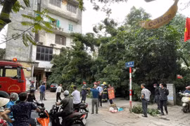 Hà Nội: Cây xanh bật gốc đè trúng xe ô tô trên phố