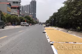 Hà Nội: Tình trạng phơi thóc lúa trên đường lại tái diễn gây mất an toàn giao thông