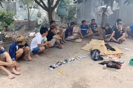 Triệt phá tụ điểm đá gà ăn tiền, bắt giữ 12 đối tượng