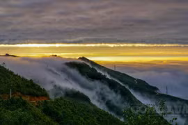 Ngỡ ngàng “thiên đường mây” Tà Xùa những ngày mùa Đông