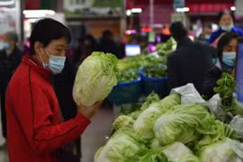 Giá rau Trung Quốc tăng vọt 30,6%