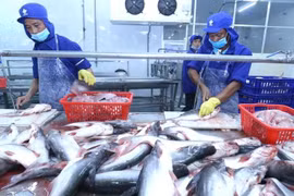 Luật Bảo vệ môi trường 2020: Không đánh đổi môi trường lấy phát triển kinh tế bằng mọi giá