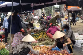 Phú Thọ: Gừng, sả, chanh “cháy hàng” do người dân mua dự trữ chống COVID-19