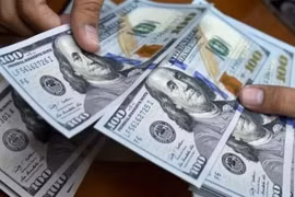Tỷ giá ngoại tệ ngày 5/1: USD tiếp tục rơi xuống mốc thấp nhất 2,5 năm