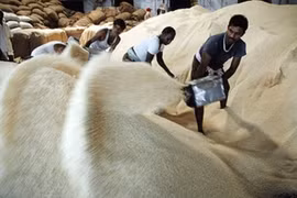 Sau nhiều thập kỷ, Việt Nam lần đầu mua gạo của Ấn Độ