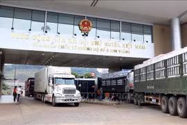 Quy định mới về cửa khẩu nhập khẩu, xuất khẩu