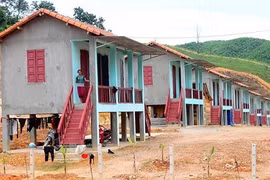 Một ngày ở bản Rào Tre