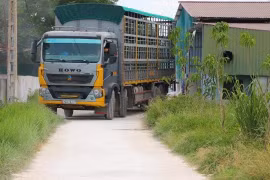 Công ty Khánh Giang đã di dời xong toàn bộ đàn lợn “chui”, gây ô nhiễm ra khỏi trang trại