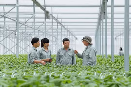 Tổng kết 20 năm đổi mới, phát triển kinh tế tập thể một cách thực chất, tránh hình thức