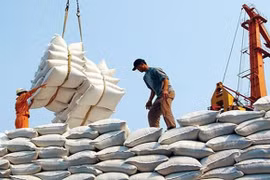 Giá gạo xuất khẩu của Việt Nam tăng cao kỉ lục